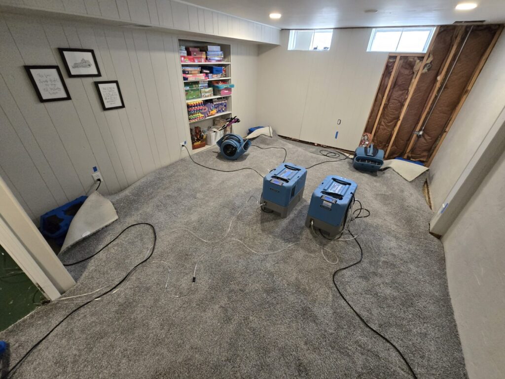 Basement room with gray carpet drying equipment and partially removed wall paneling.